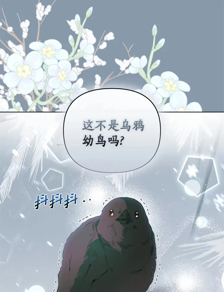 52.姐妹 第45页