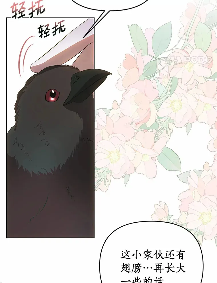 52.姐妹 第50页