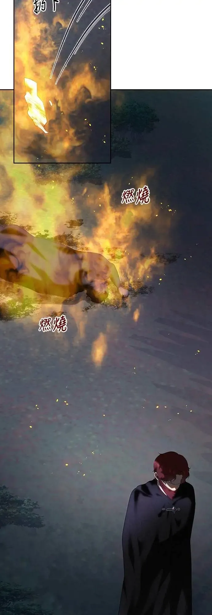 第116话 第14页