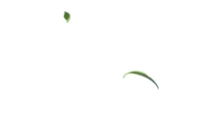 第137话 第55页