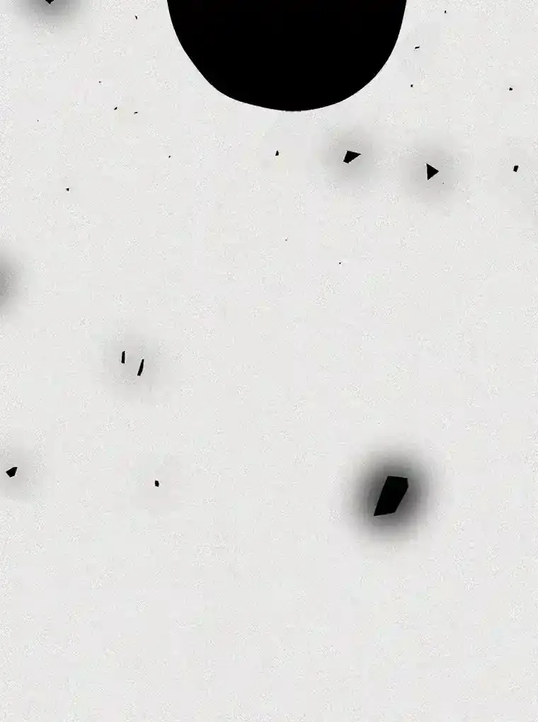46.反转 第63页
