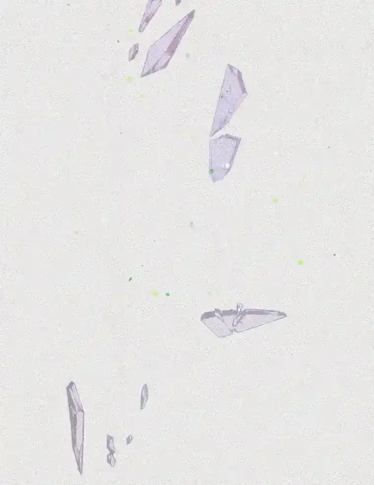 46.反转 第144页