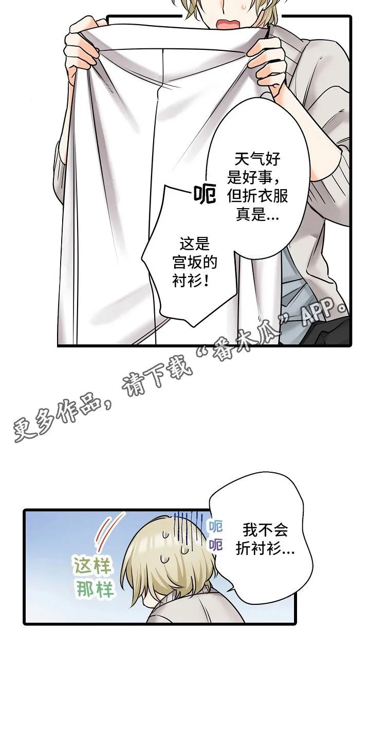 第37章：在一起的理由 第2页