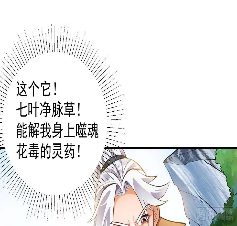 第10话 解毒的希望 第68页