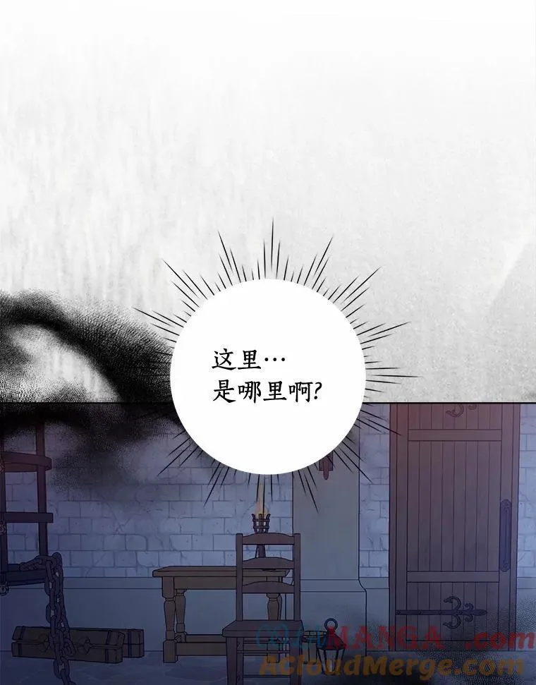 94.绑架 第29页