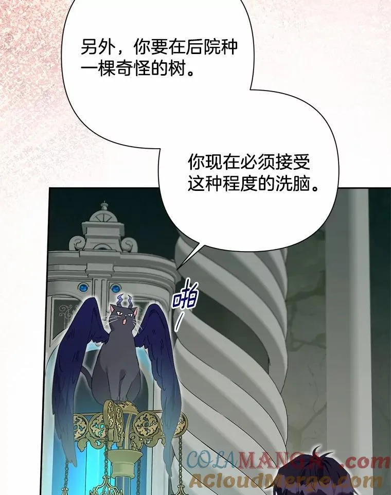 106.契约成立 第49页