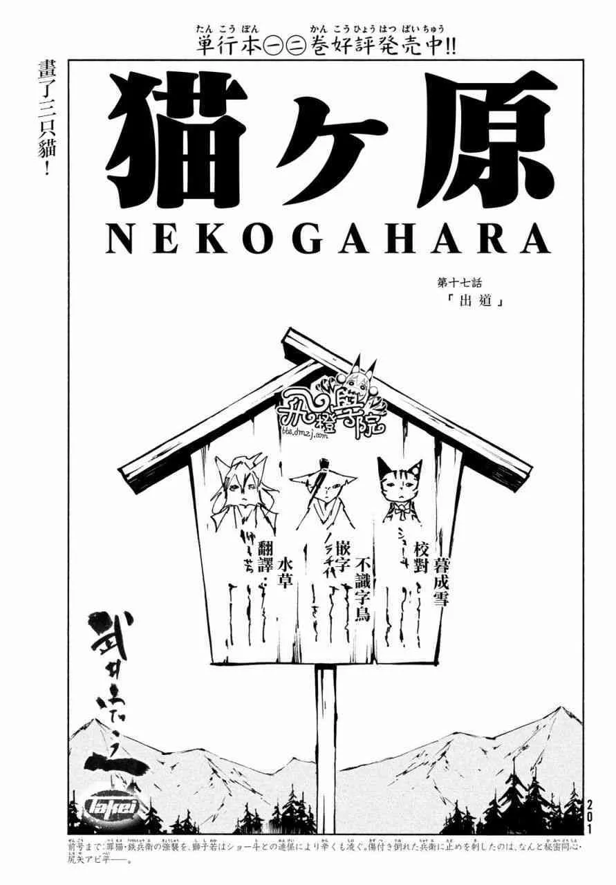 138 同类 第3页