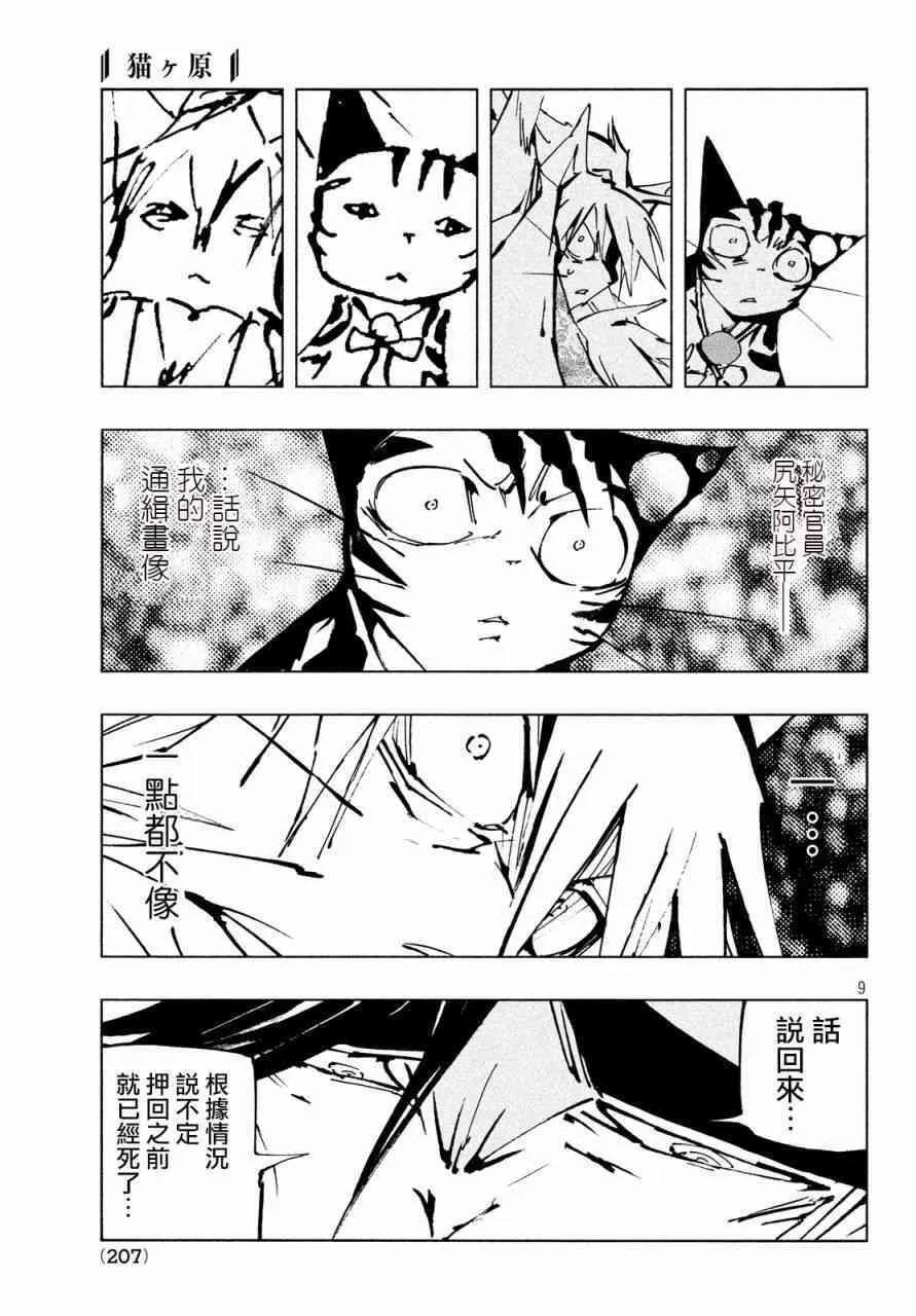 138 同类 第9页