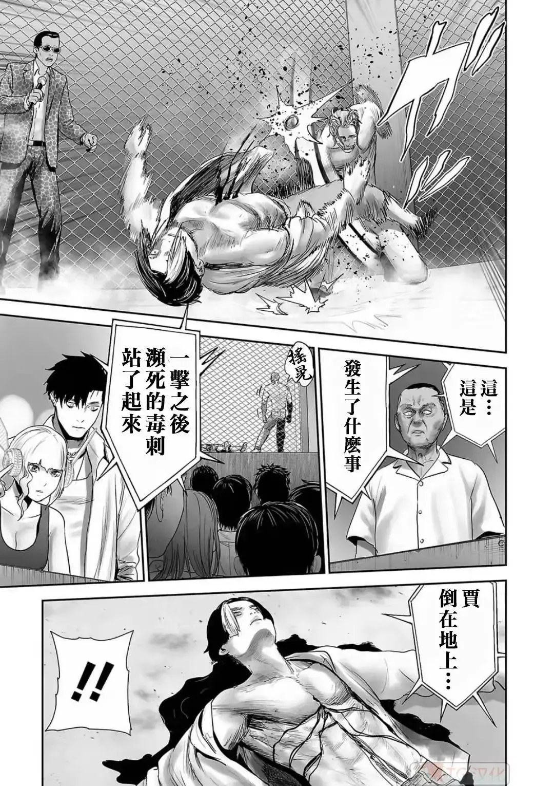 第12卷 第61页