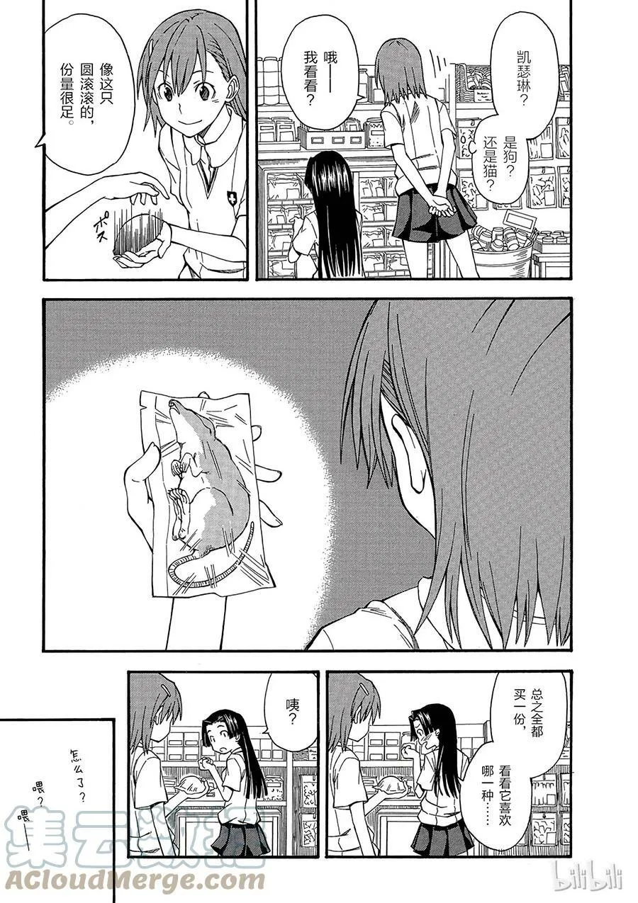 40 派系 ① 第17页