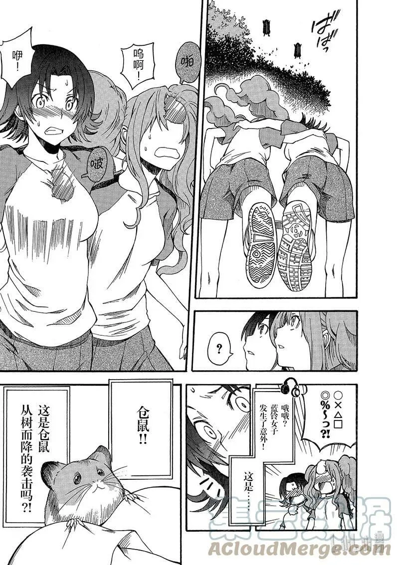44 开幕 第17页