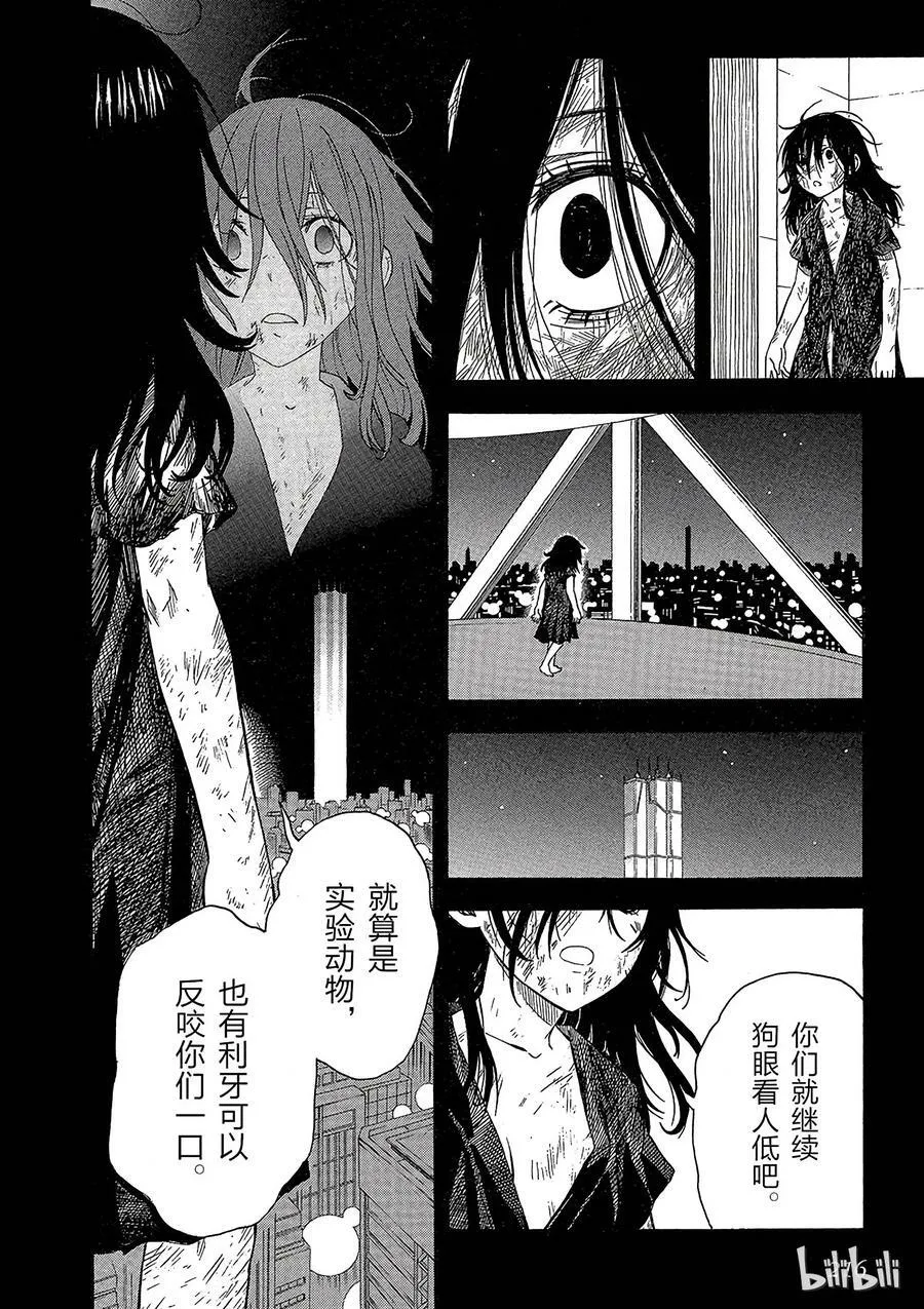68 DOLLY 第18页