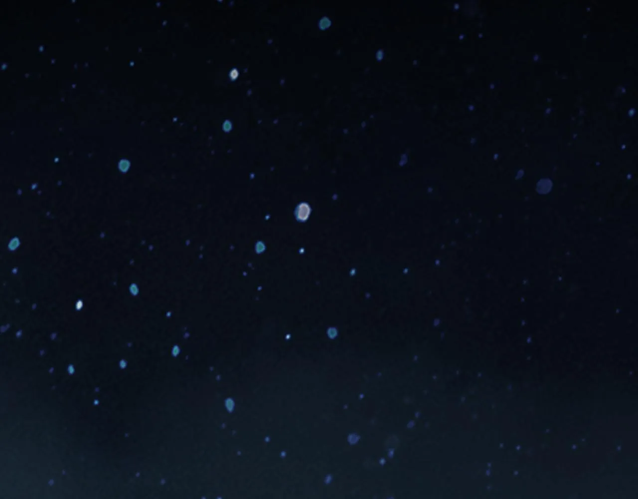 第7话 特殊的采集物？ 第99页