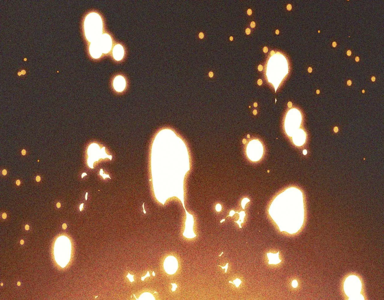 第7话 特殊的采集物？ 第160页