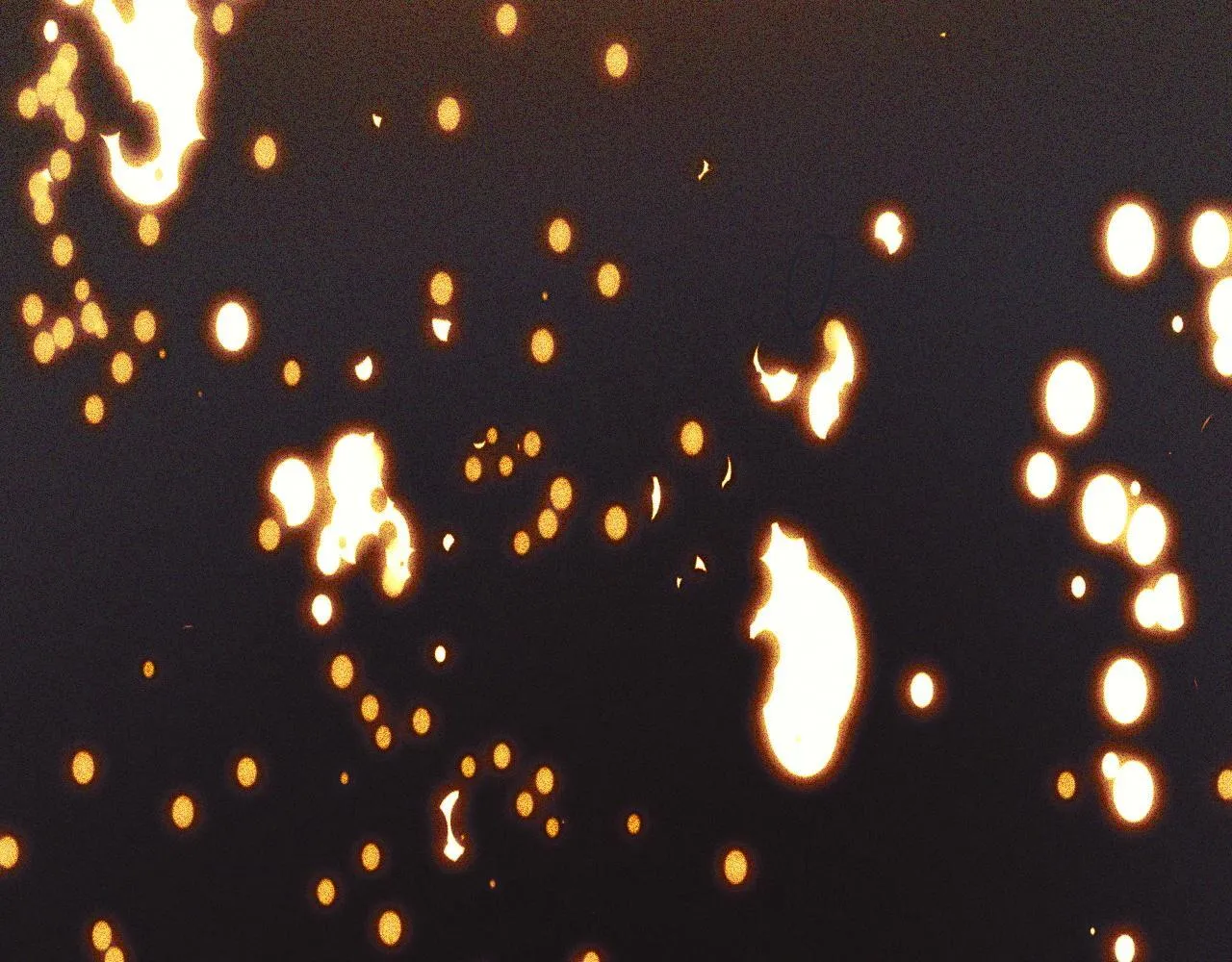 第7话 特殊的采集物？ 第164页
