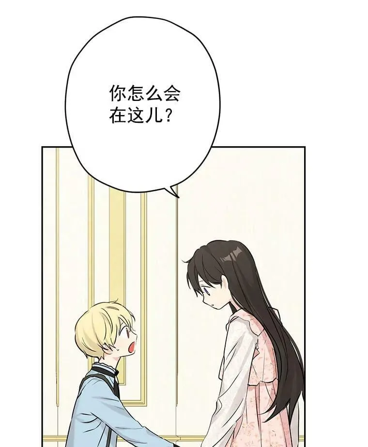 6.重生 第48页