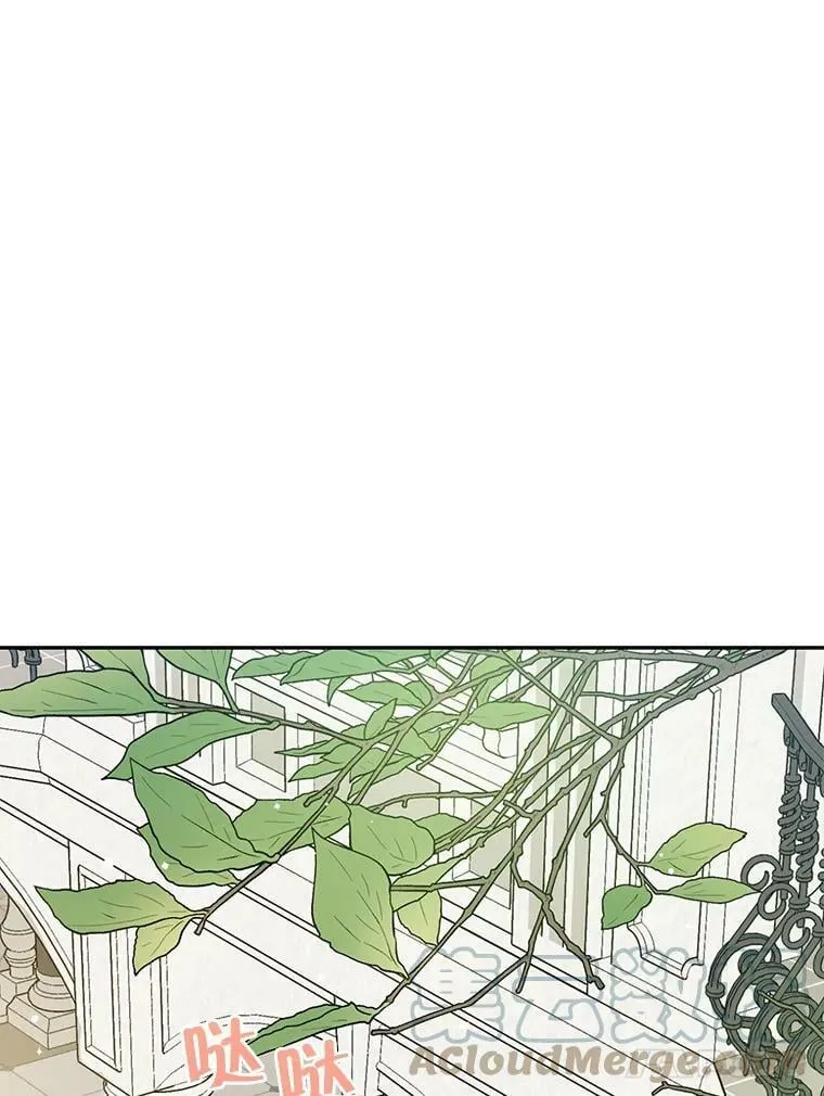 12.斯黛拉的仲夏之夜 第67页