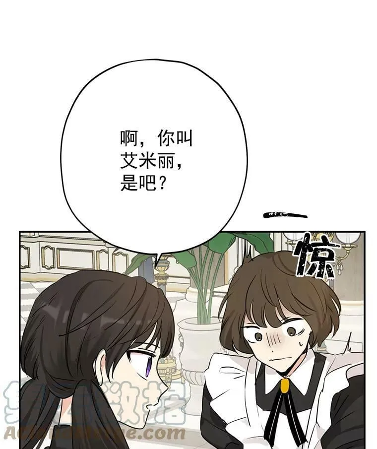 15.为参加宴会做准备 第31页