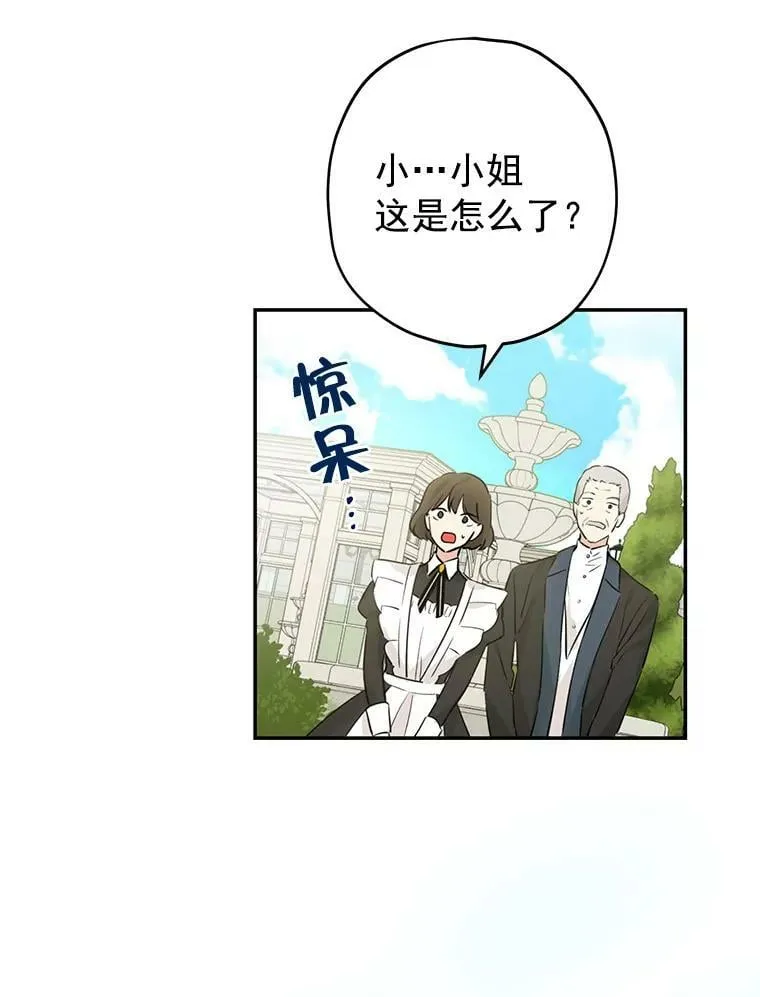19.伪装 第2页