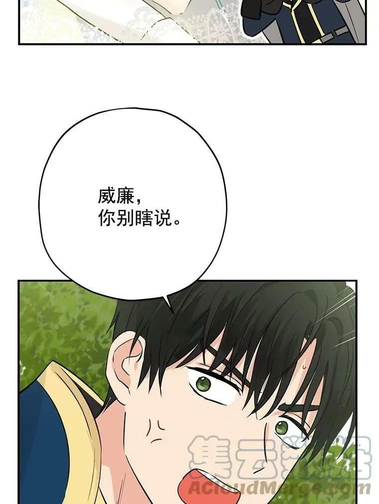 19.伪装 第22页
