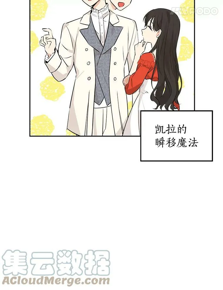 19.伪装 第52页