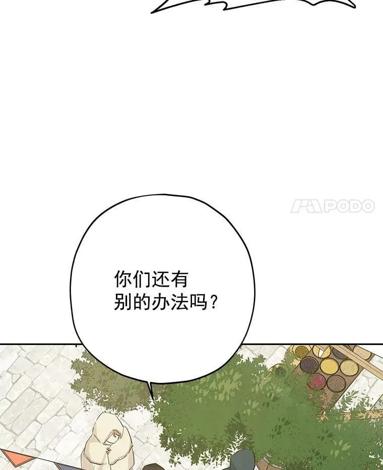 19.伪装 第66页