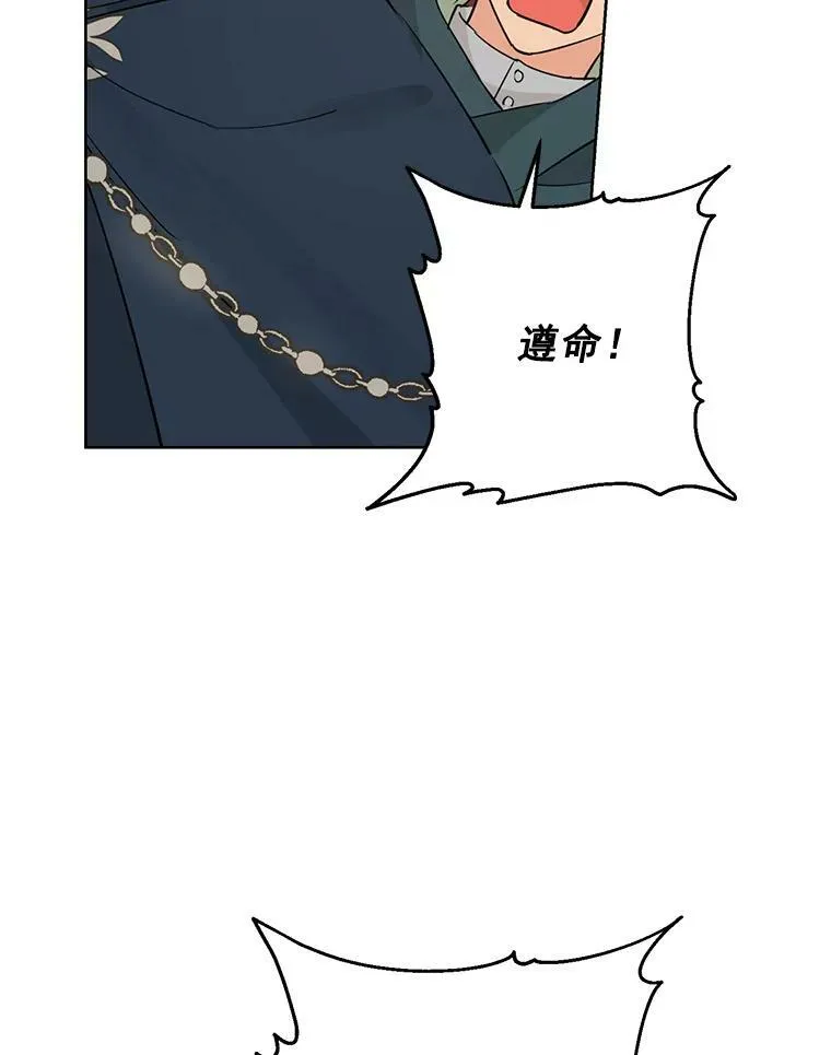 19.伪装 第75页