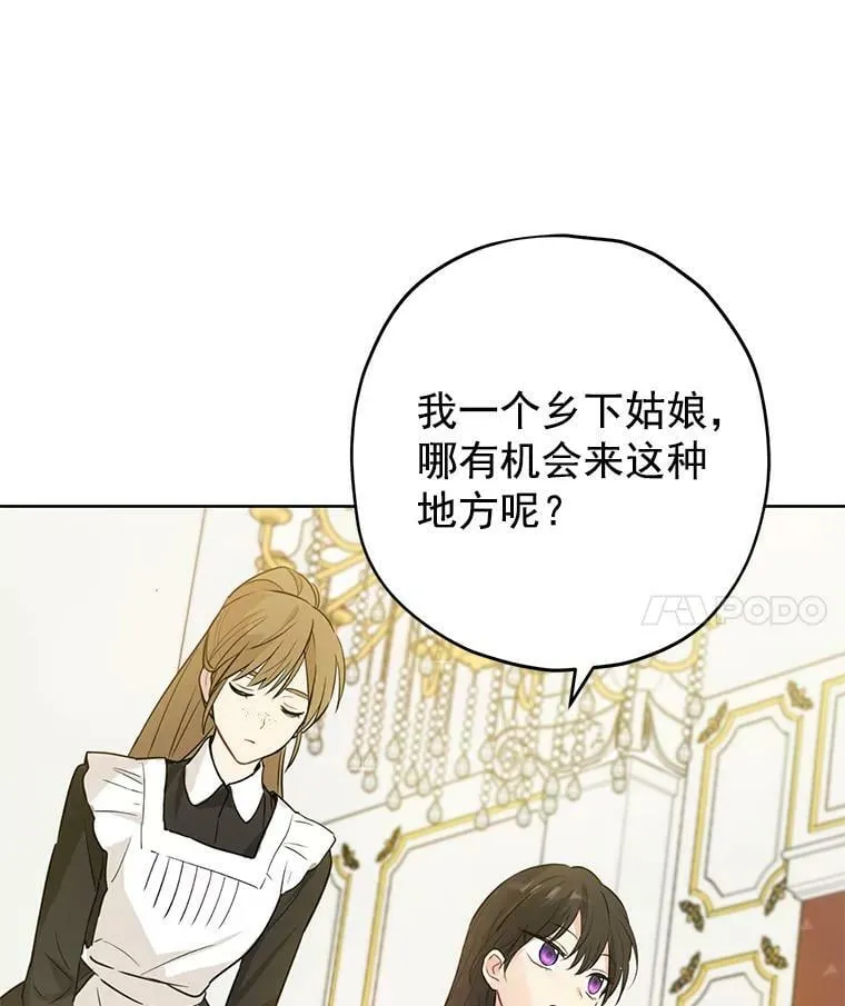 20.“棒打鸳鸯”计划 第14页