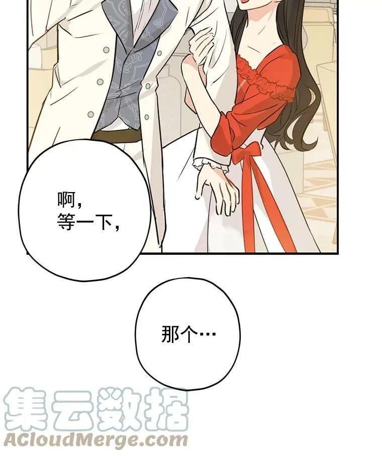 20.“棒打鸳鸯”计划 第40页