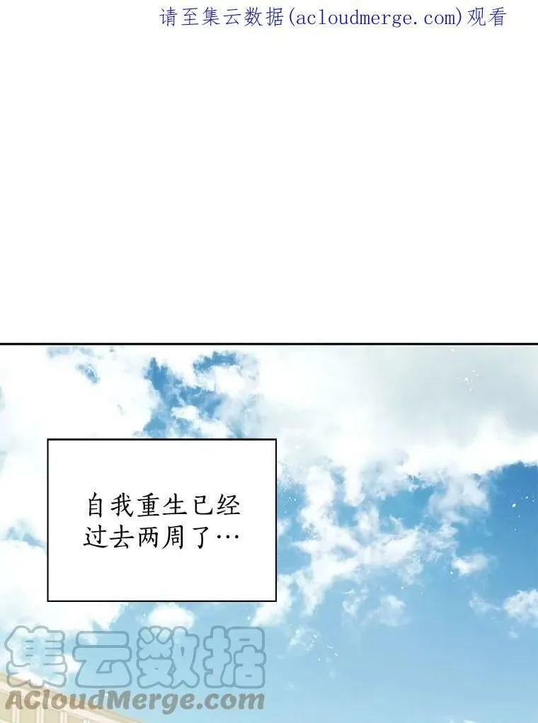 28.与公爵的谈话 第1页