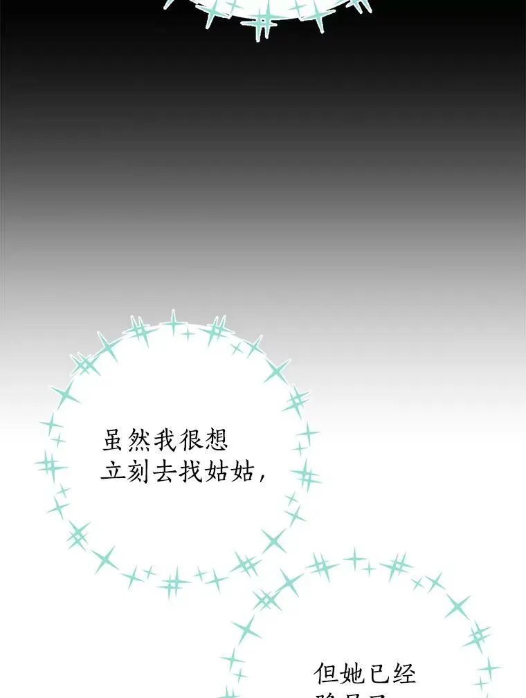 28.与公爵的谈话 第15页