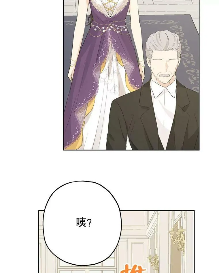 28.与公爵的谈话 第30页