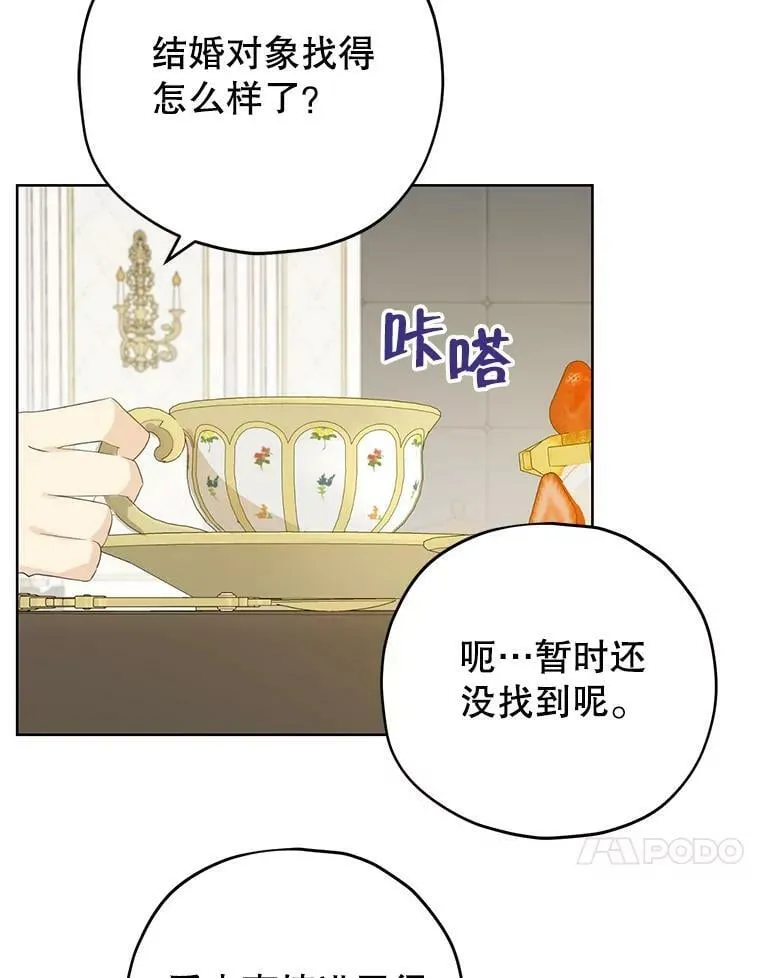 28.与公爵的谈话 第41页