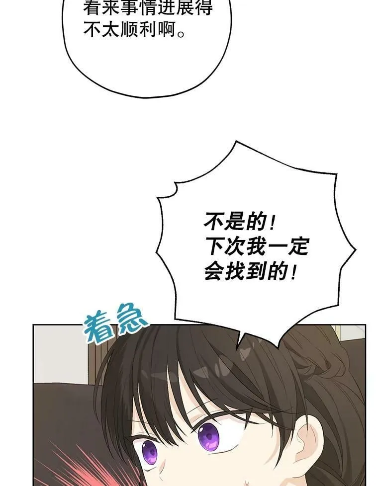 28.与公爵的谈话 第42页