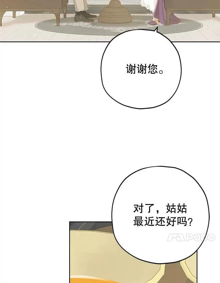 28.与公爵的谈话 第51页
