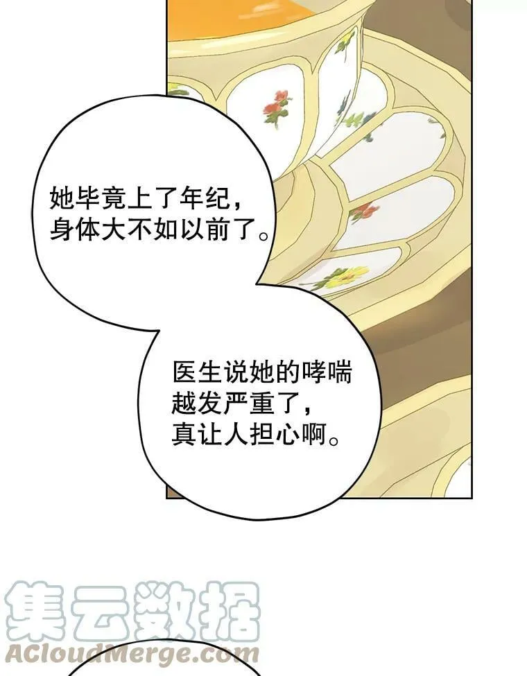 28.与公爵的谈话 第52页