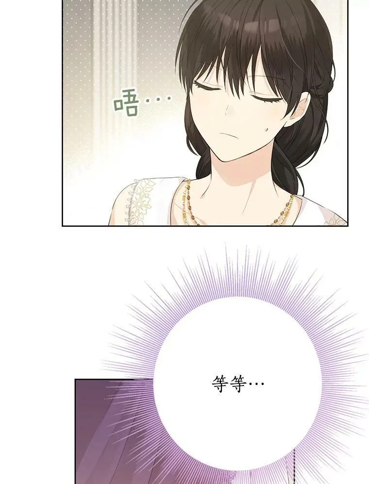 28.与公爵的谈话 第66页