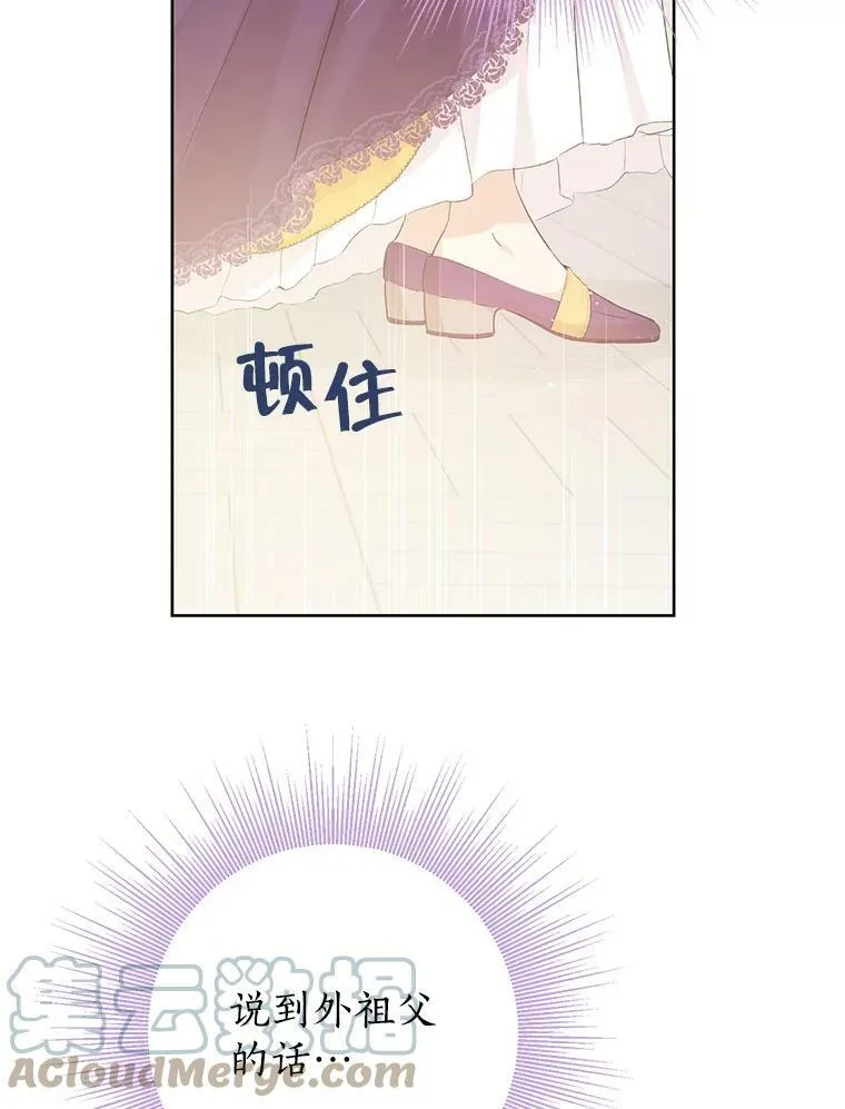 28.与公爵的谈话 第67页