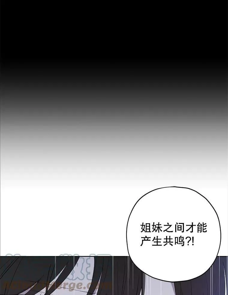 35.共鸣 第13页