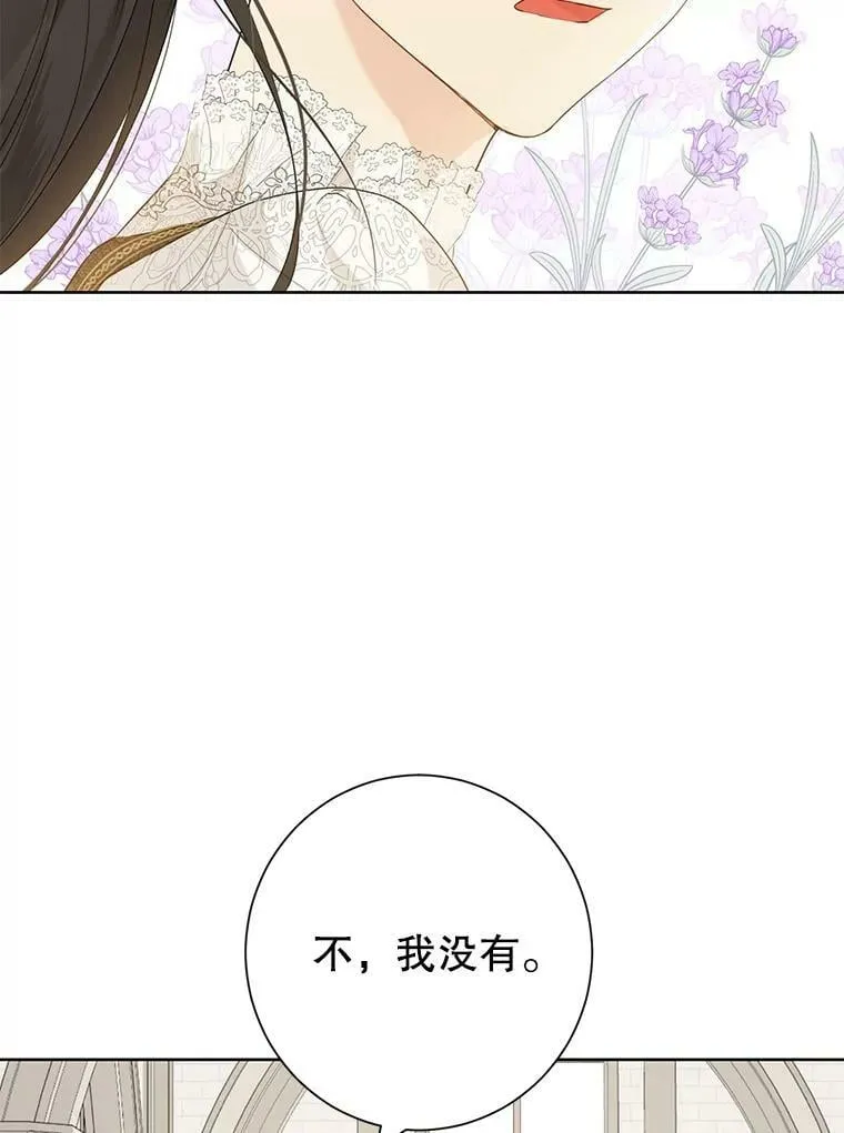 41.比试一下吧 第14页