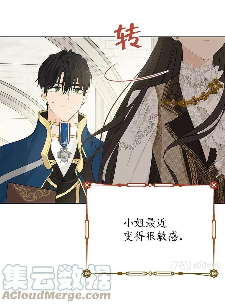 41.比试一下吧 第16页