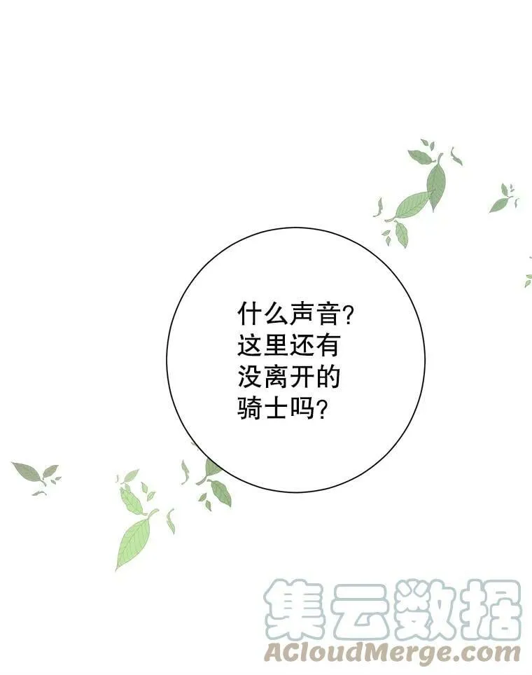 41.比试一下吧 第43页