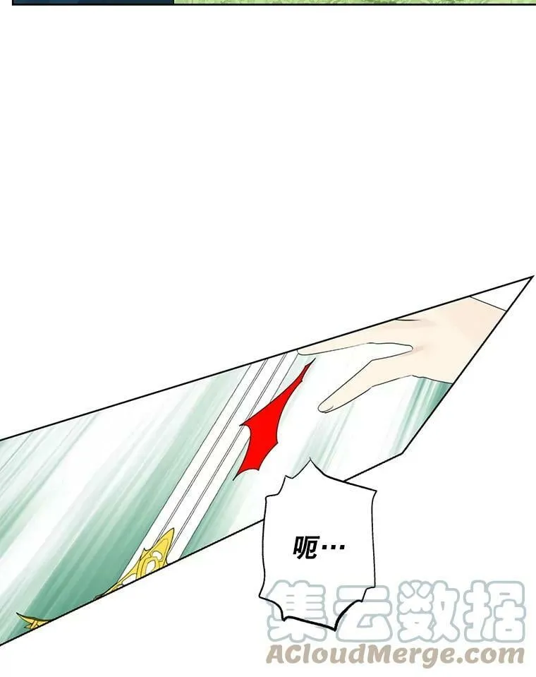 41.比试一下吧 第46页