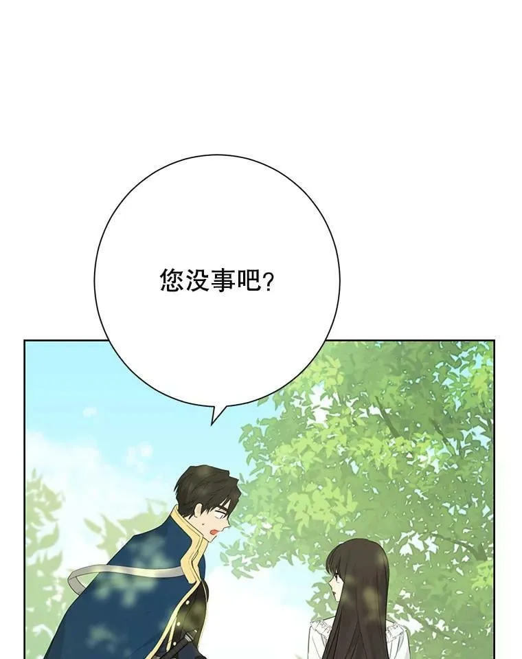 41.比试一下吧 第53页