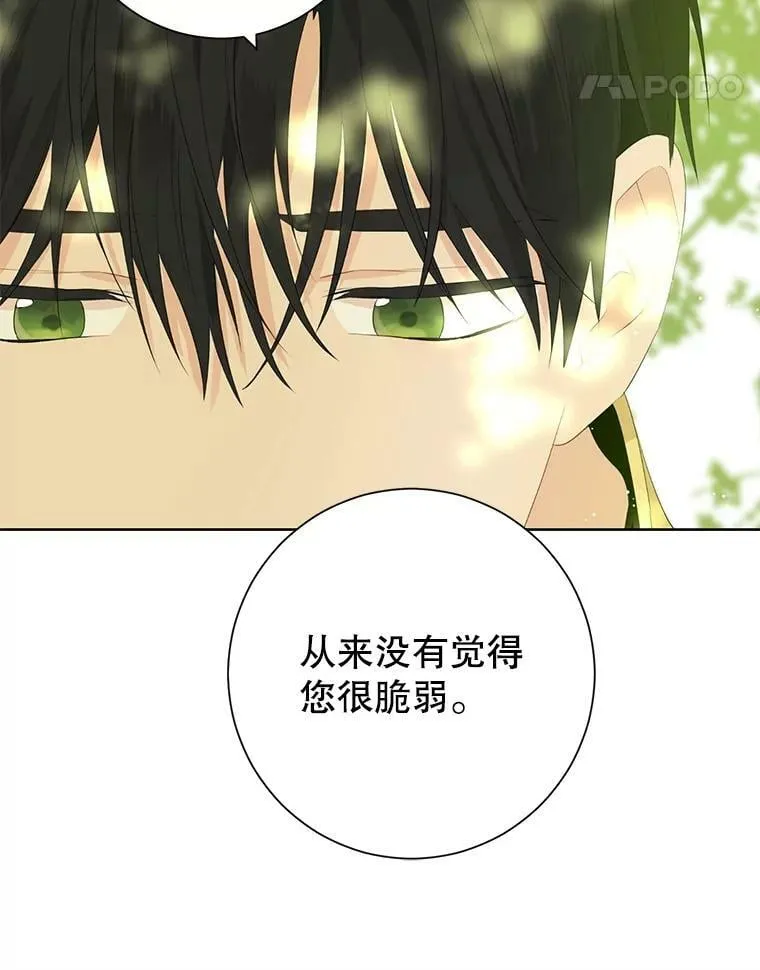 41.比试一下吧 第81页