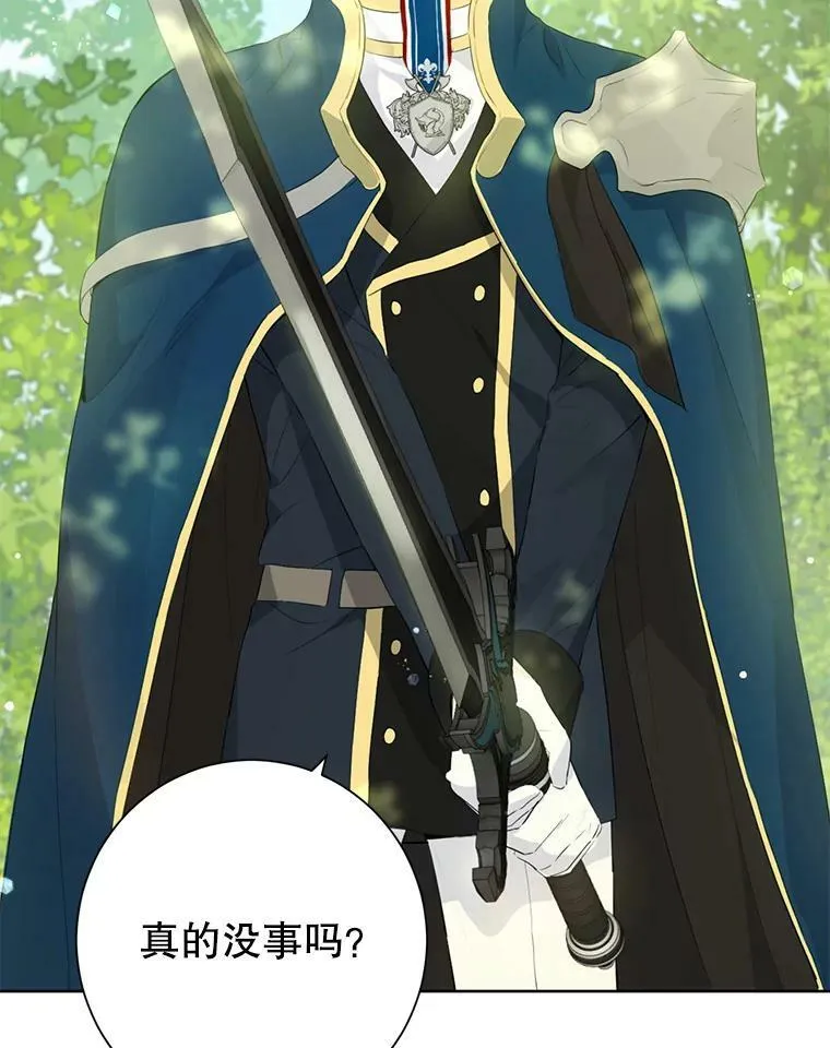 42.骑士的守护 第3页