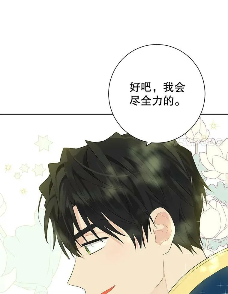 42.骑士的守护 第14页