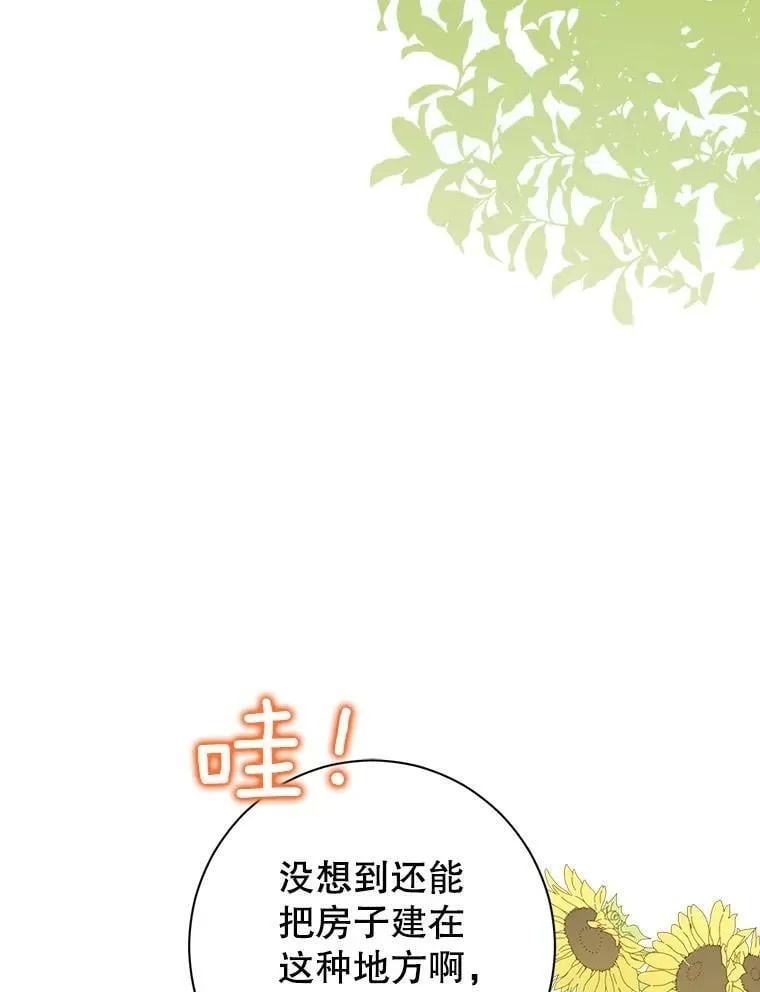 48.精灵石的秘密？ 第3页