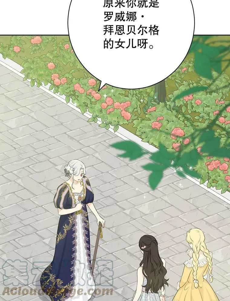 48.精灵石的秘密？ 第13页