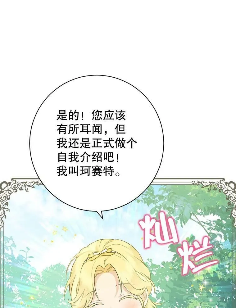 48.精灵石的秘密？ 第15页